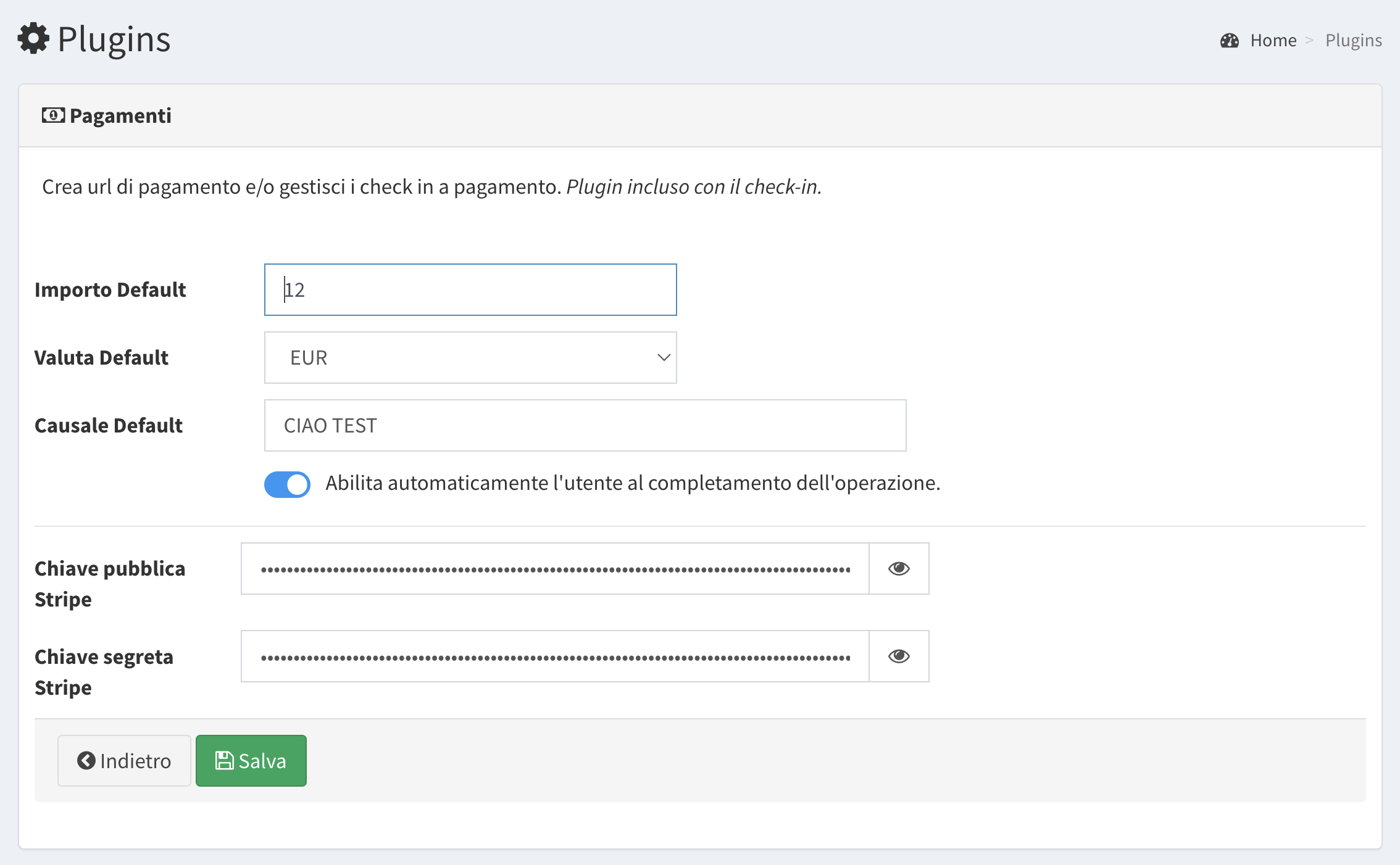 Einstellungen des Zahlungs-Plugins