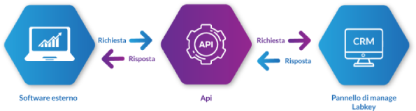 API e integrazioni con software terzi